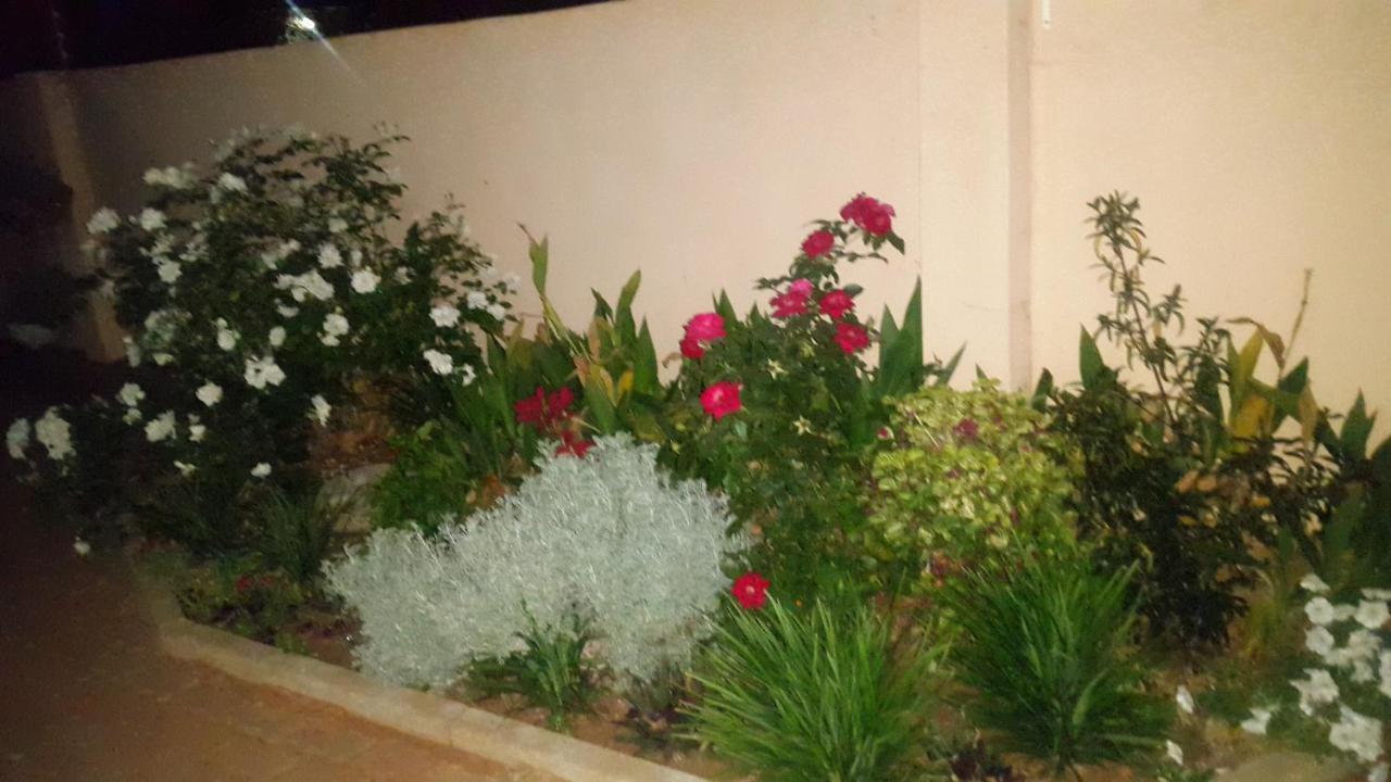 Tintech Bed & Breakfast Francistown Exteriör bild